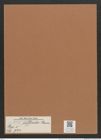 Navicula difficilis Grun. (de-Toni-Nr.: Genus 1, Species 724) Zeichnungen Sammlung Grunow Mappe 00594 (Herbarium_W_Grunow_drawings_Folder_00594)